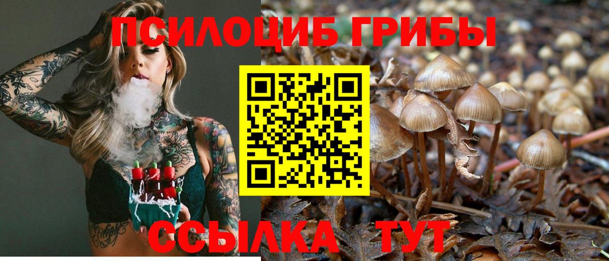 Псилоцибиновые грибы прущие грибы Елец