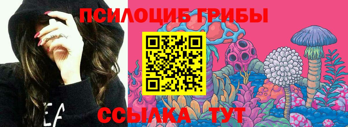 Галлюциногенные грибы ЛСД  где можно купить наркотик  Елец  Вход с VPN 